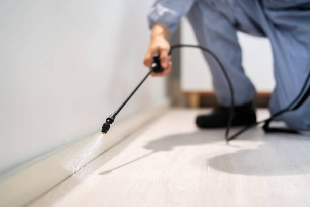 Licensed Termite Control service in Charlotte, TX - Nex Pest Control