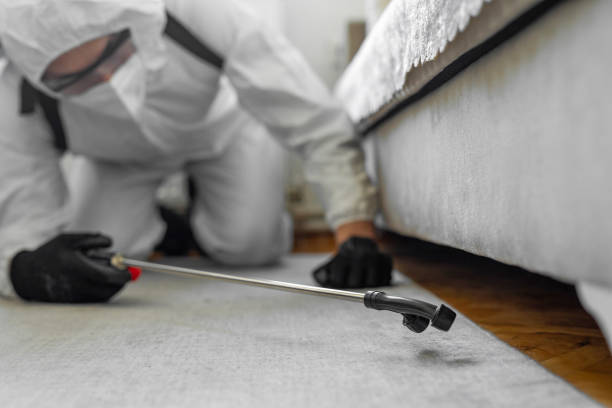 Professional Termite Control technician working in Charlotte, TX