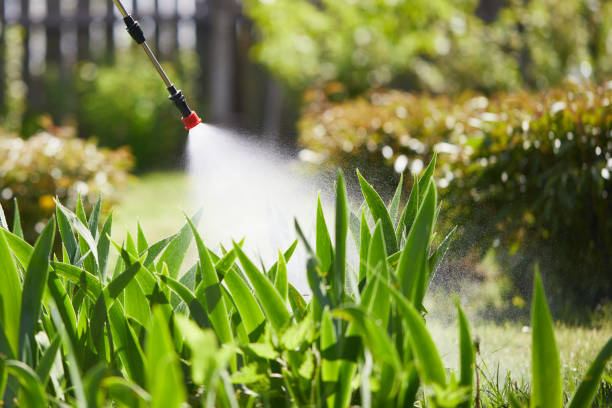 24/7 Emergency Termite Control experts in Charlotte, TX
