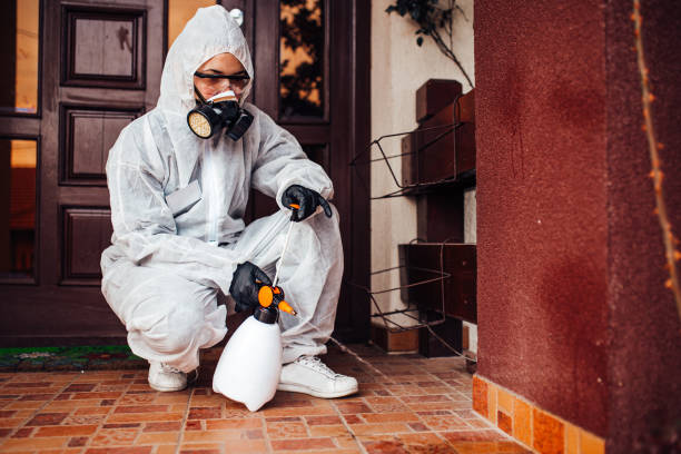 Reliable Termite Control contractor in Charlotte, TX by Nex Pest Control